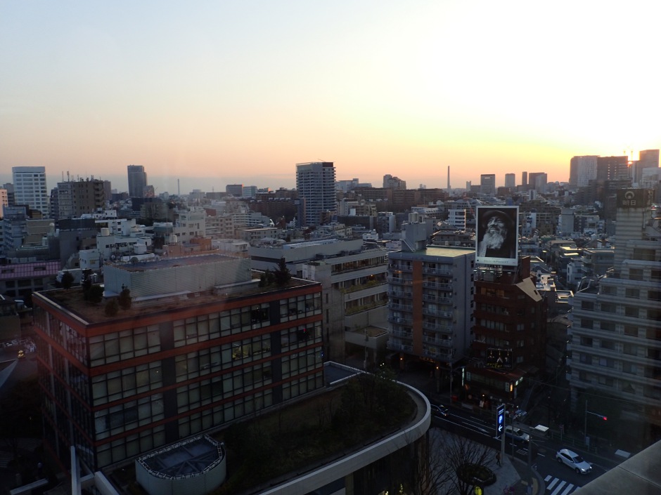 Review-Grand Hyatt Tokyo: View from Room