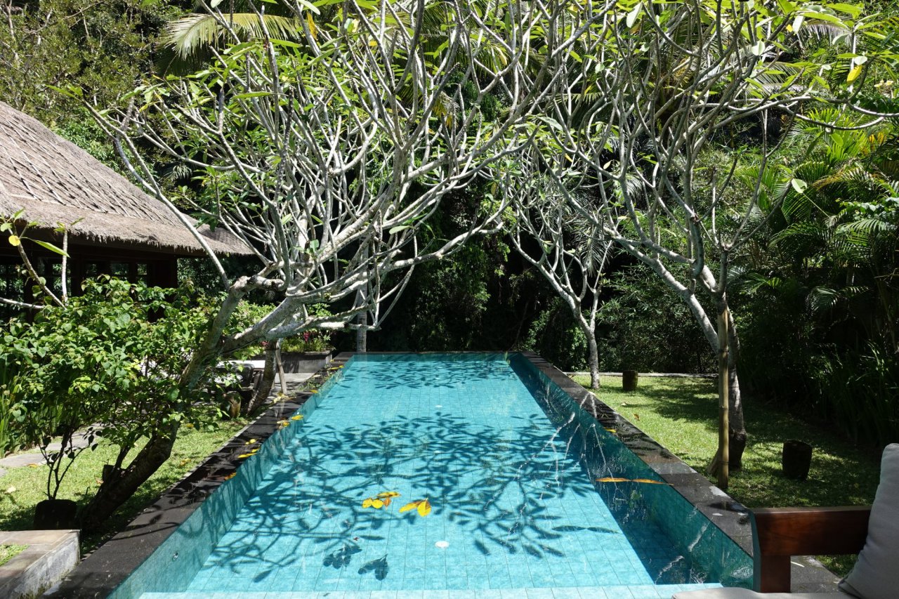 Review-Mandapa-Bali-One Bedroom River Front Pool Villa-Infinity Pool