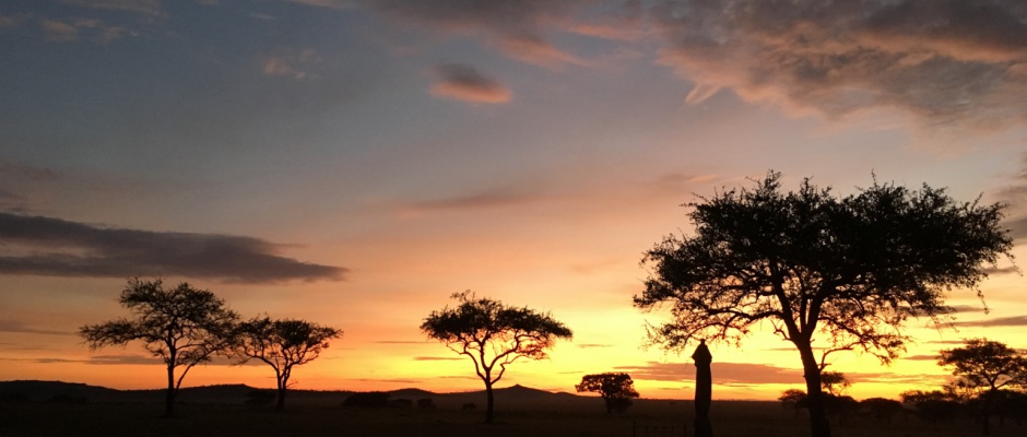 Best Luxury Safari Offers 2020