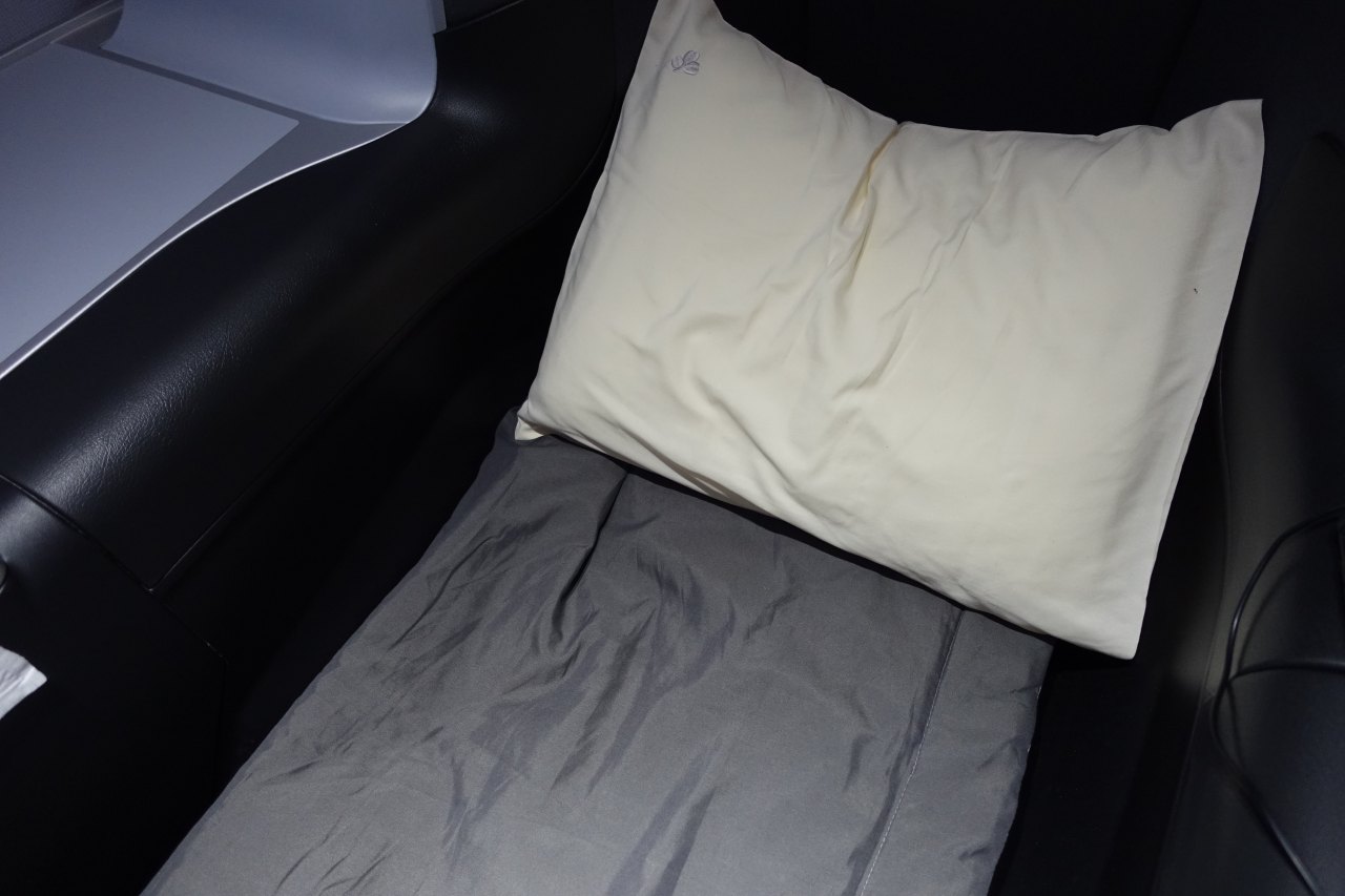 Review-Aer Lingus A330 Business Class Pillow and Duvet