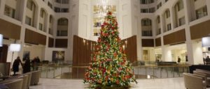 Review-Grand Hyatt Washington DC-Christmas Tree