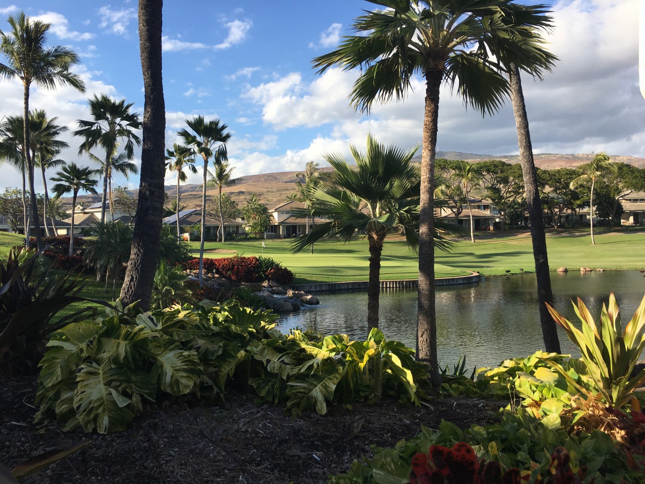 Roy S Ko Olina Hawaii Review