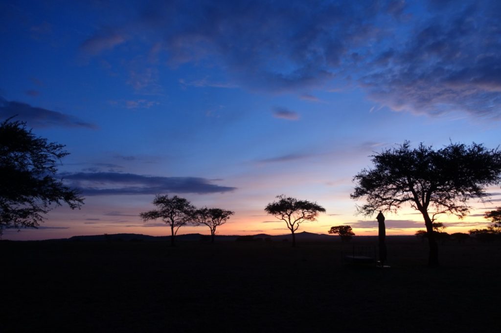Singita Sabora Tented Camp Review, Serengeti, Tanzania