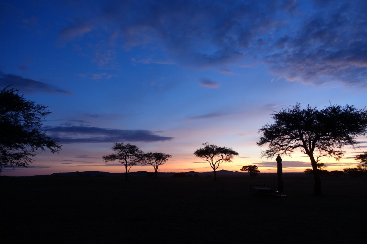 Singita Sabora Tented Camp-Serengeti Safari
