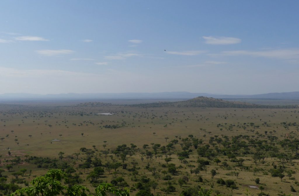 Singita Sasakwa Review-View of Serengeti Plains