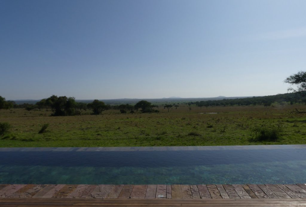Serengeti House Pool and View