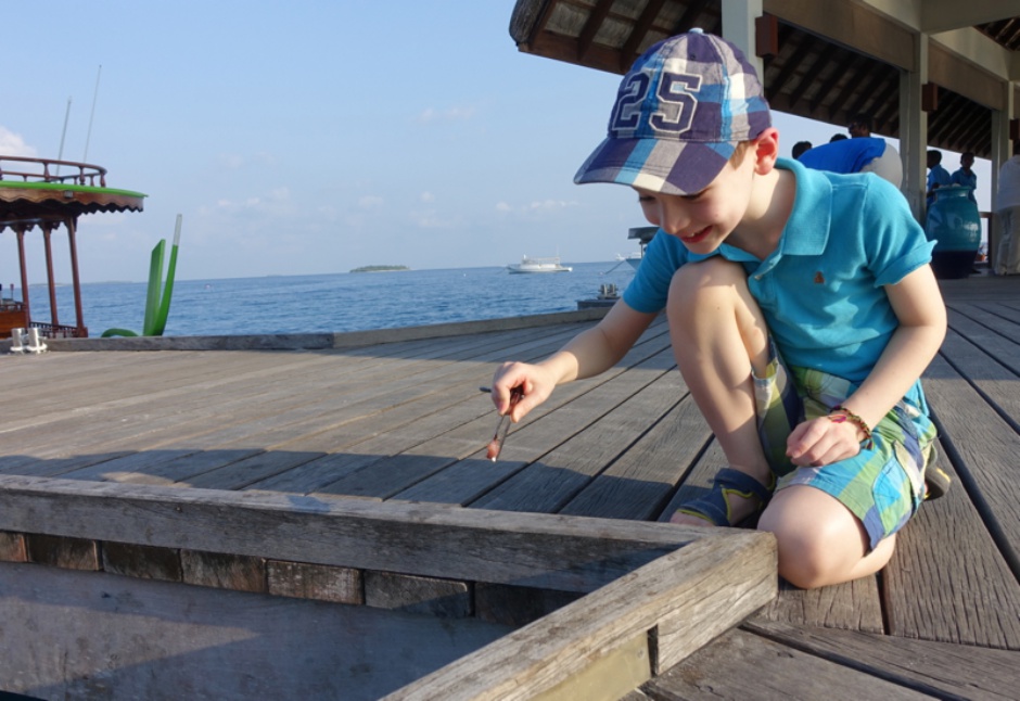 Feeding Fish at Four Seasons Maldives at Landaa Giraavaru