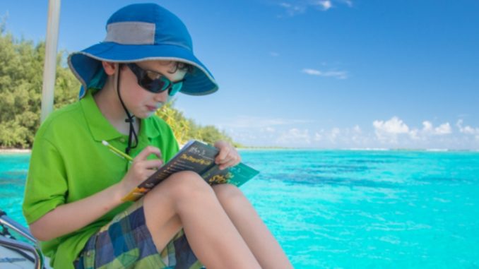 Top Luxury Hotel Brands for Families with Kids