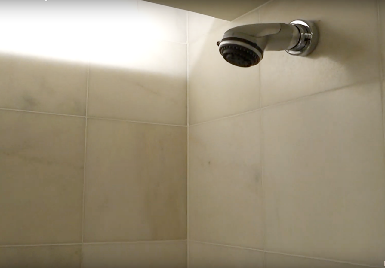 The Peninsula Beverly Hills Review-Deluxe Room Bathroom: Shower Head