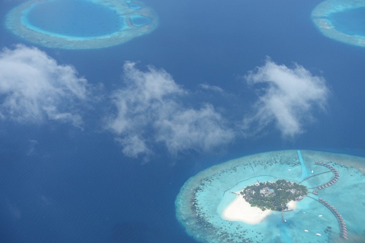 Trans Maldivian Airways Review