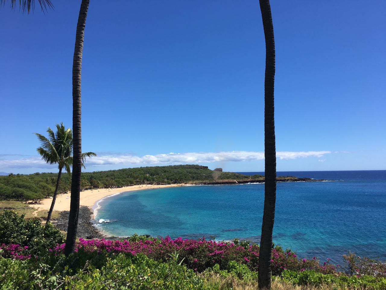 View from Prime Oceanfront Studio Suite, Four Seasons Lanai Review