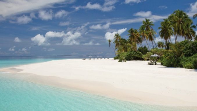 Best Park Hyatt Hotels in the World