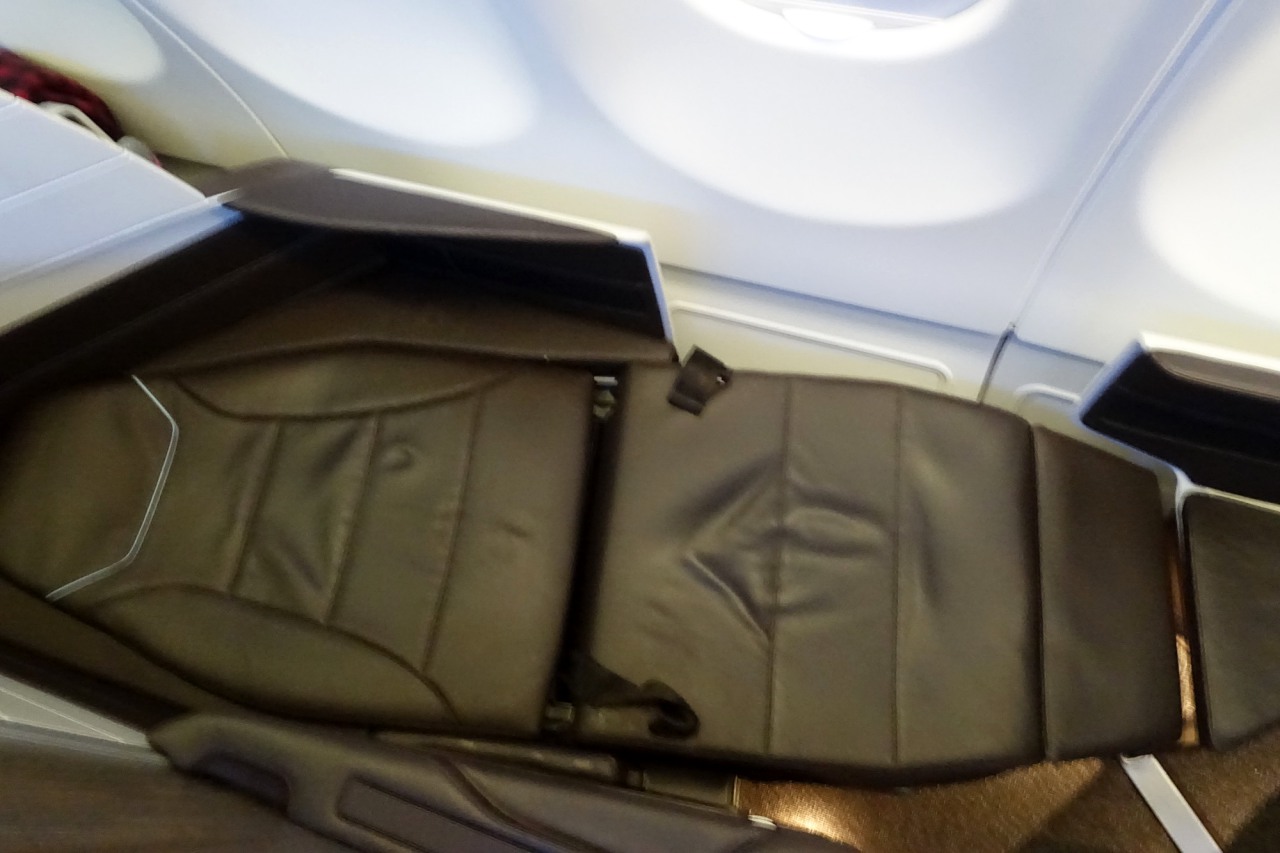 Hawaiian Airlines First Class Flat Bed Review