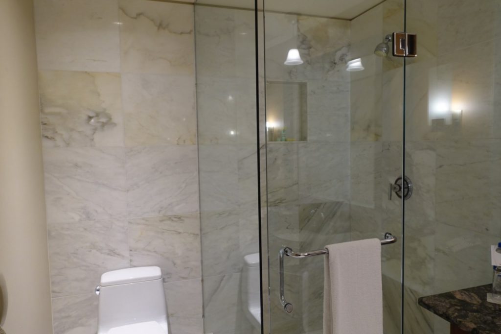 Bathroom, Grand Hyatt Seattle Review