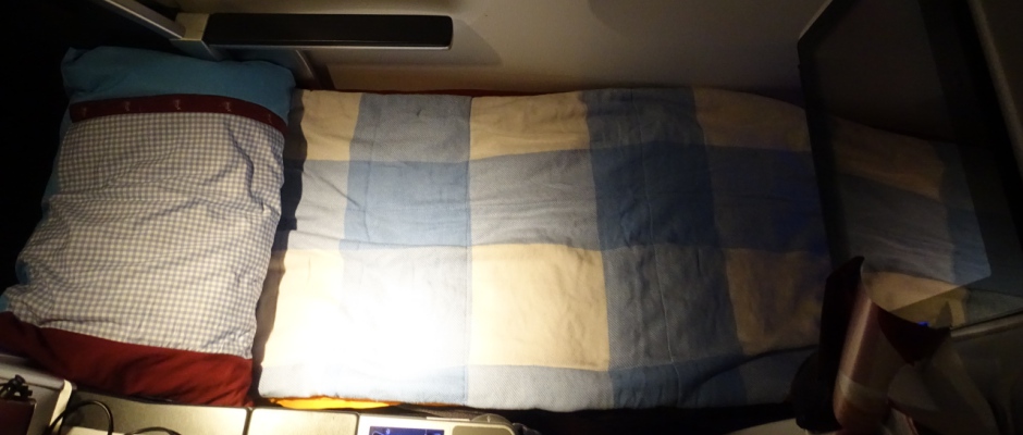 Austrian Airlines Business Class 767 Review