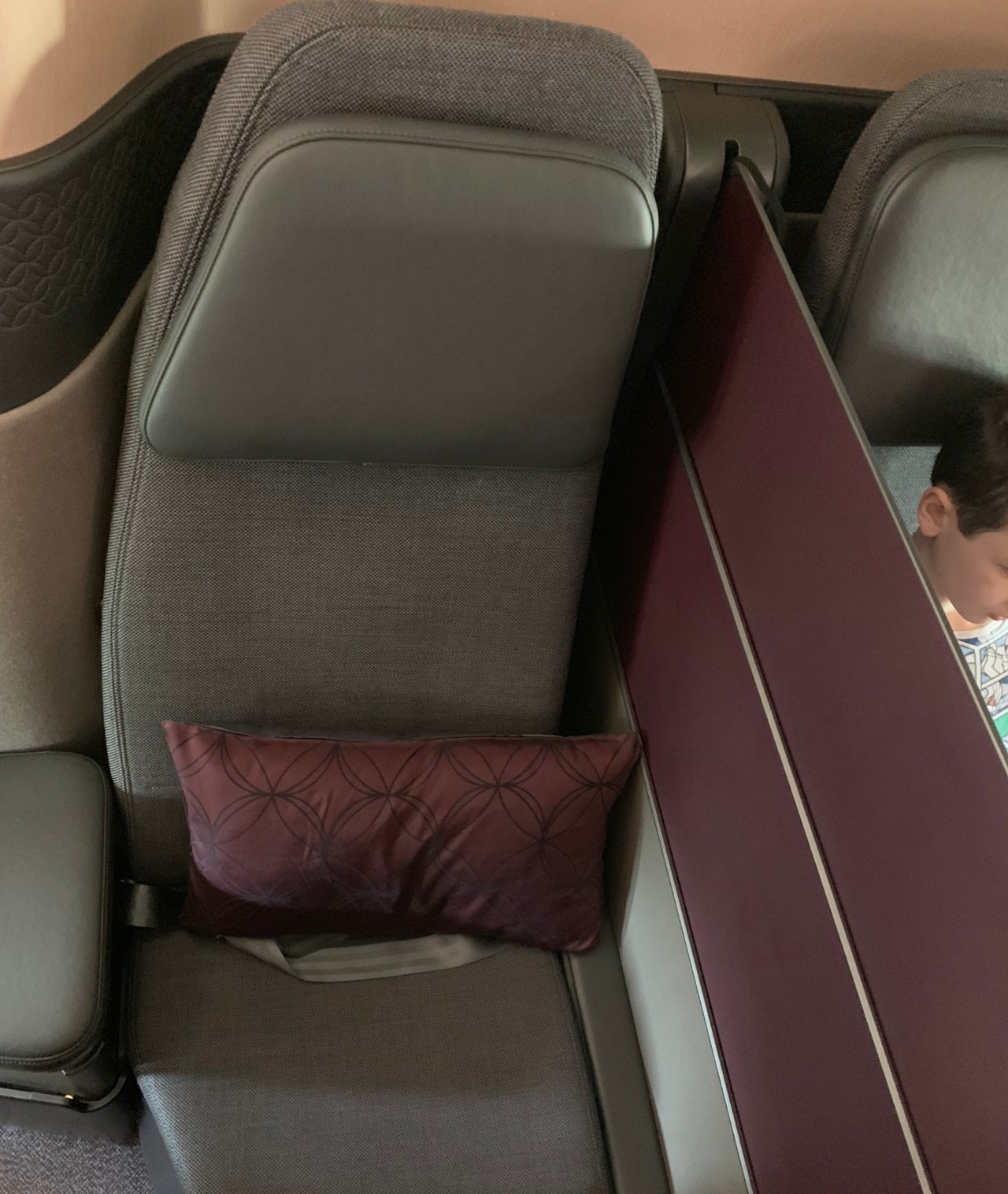 Qatar Qsuites Review 777: Privacy Divider