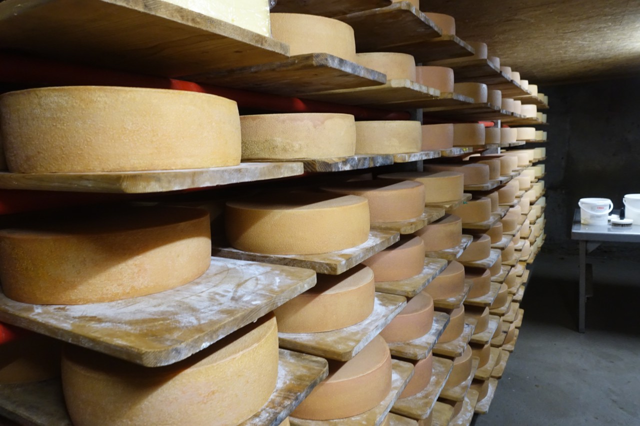 Cheeses, Musenalp, Switzerland
