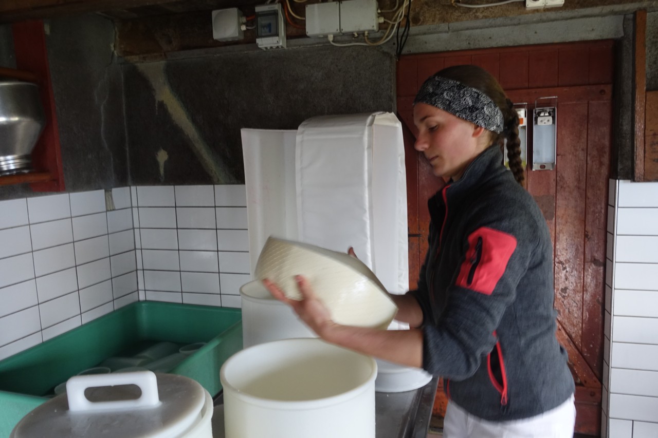 Cheesemaking, Switzerland