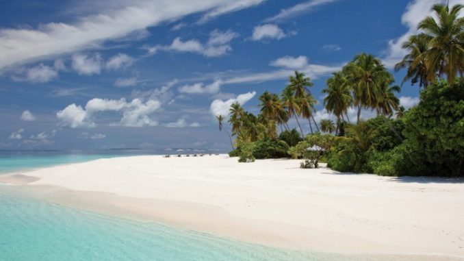 Top 10 Best Hyatt Prive Free Night Offers 2020