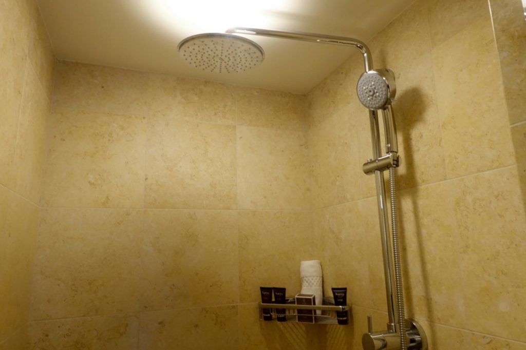 Ritz-Carlton Grand Cayman Review: Bathroom Rain Shower