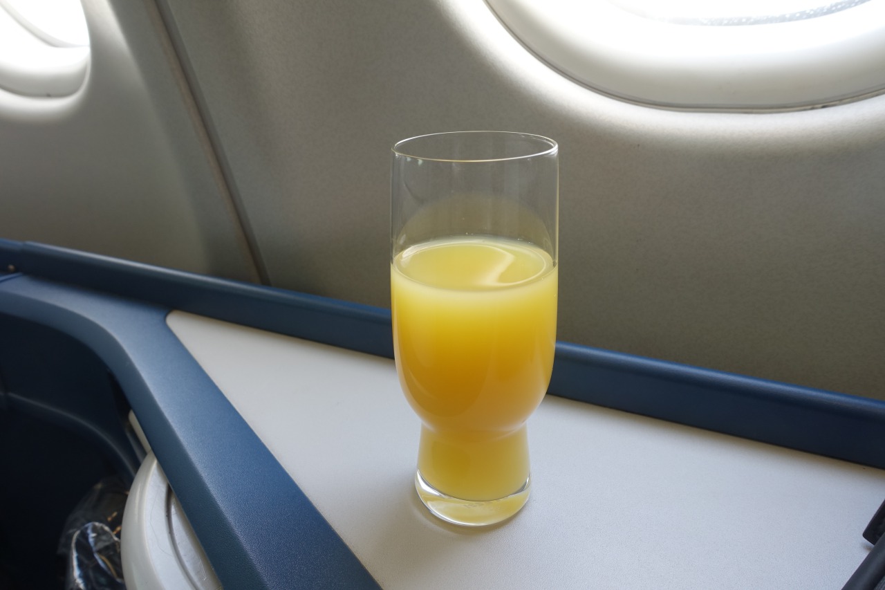 Pre-Flight Orange Juice, Delta One A330 Review