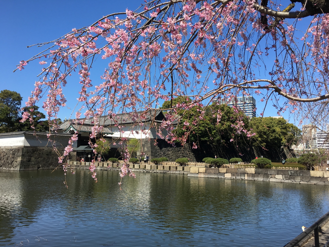 Japan Travel Ban 2020