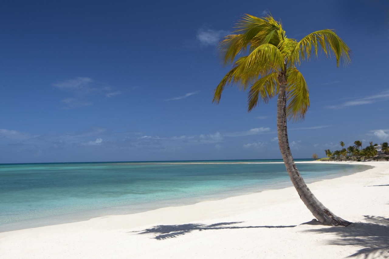 Caribbean Reopening After Coronavirus: St Lucia, Antigua