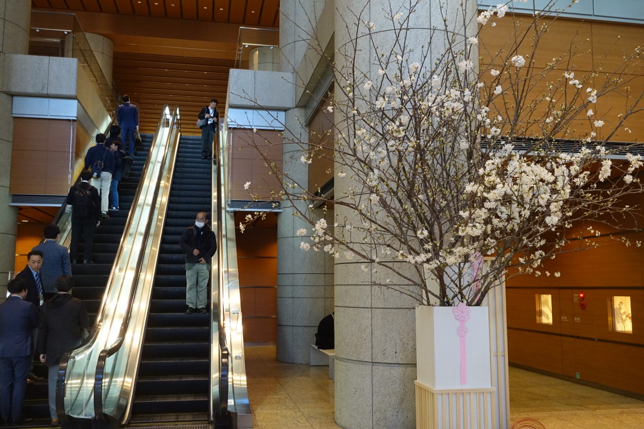 Mandarin Oriental Tokyo: Walk Past the Escalators to the Ground Floor Entrance
