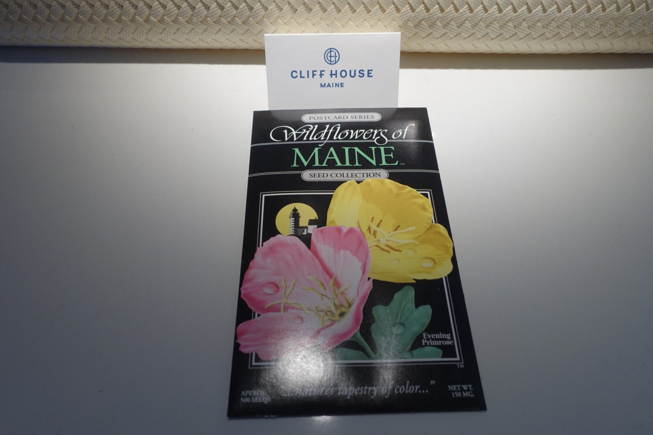 Maine Wildflower Seeds, The Cliff House Maine