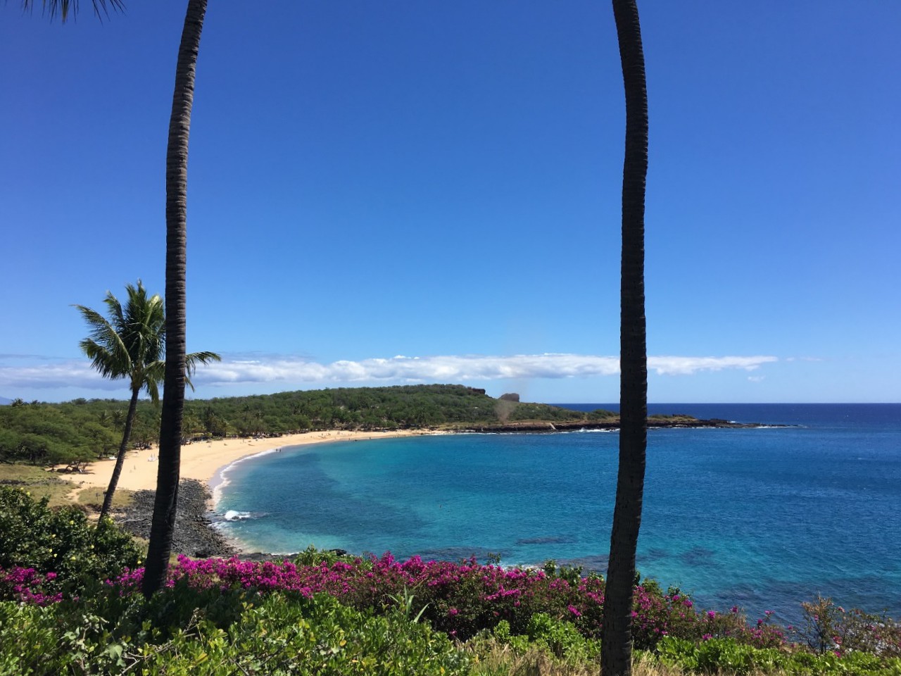Hawaii Inches Closer to Adopting Alaska Pre-Travel Testing Plan