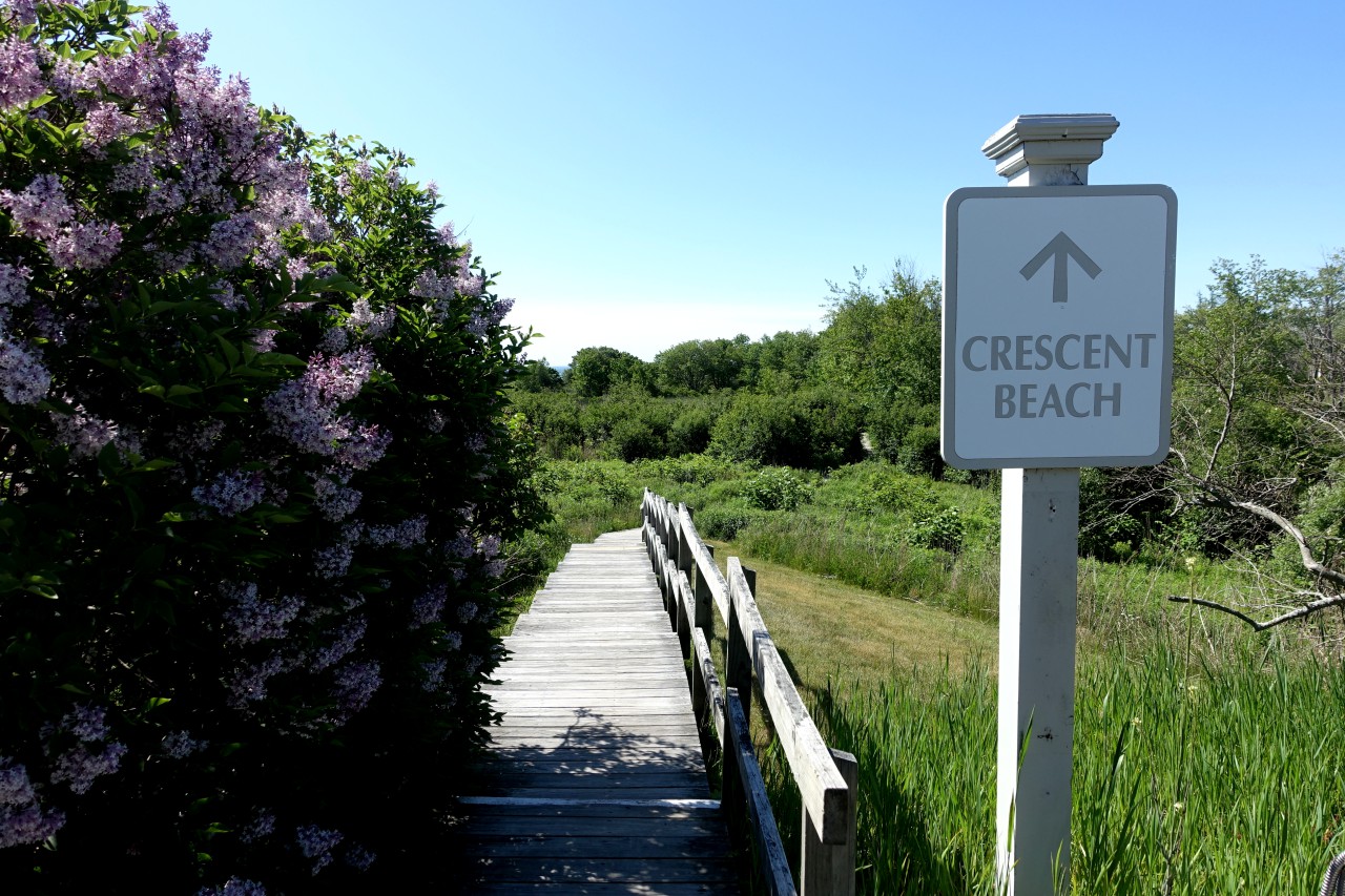 Path to Crescent Beach, Inn by the Sea
