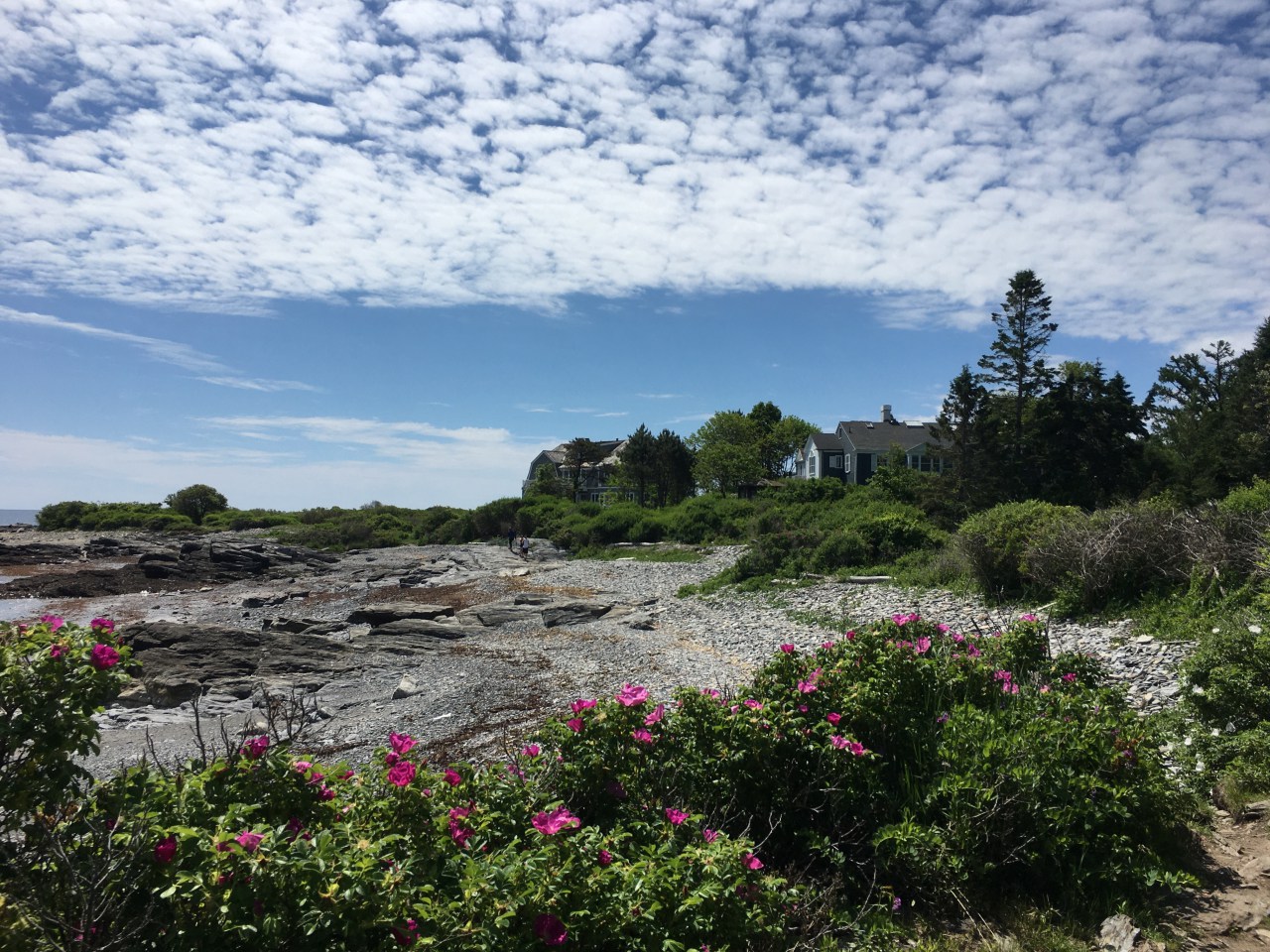 Maine: Great Nature Trails
