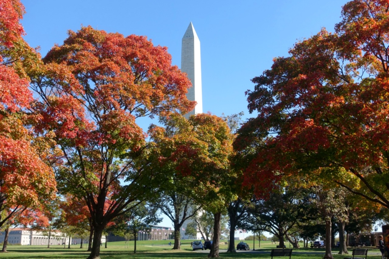 Washington DC: Coronavirus 14-Day Quarantine for Arrivals from Most States