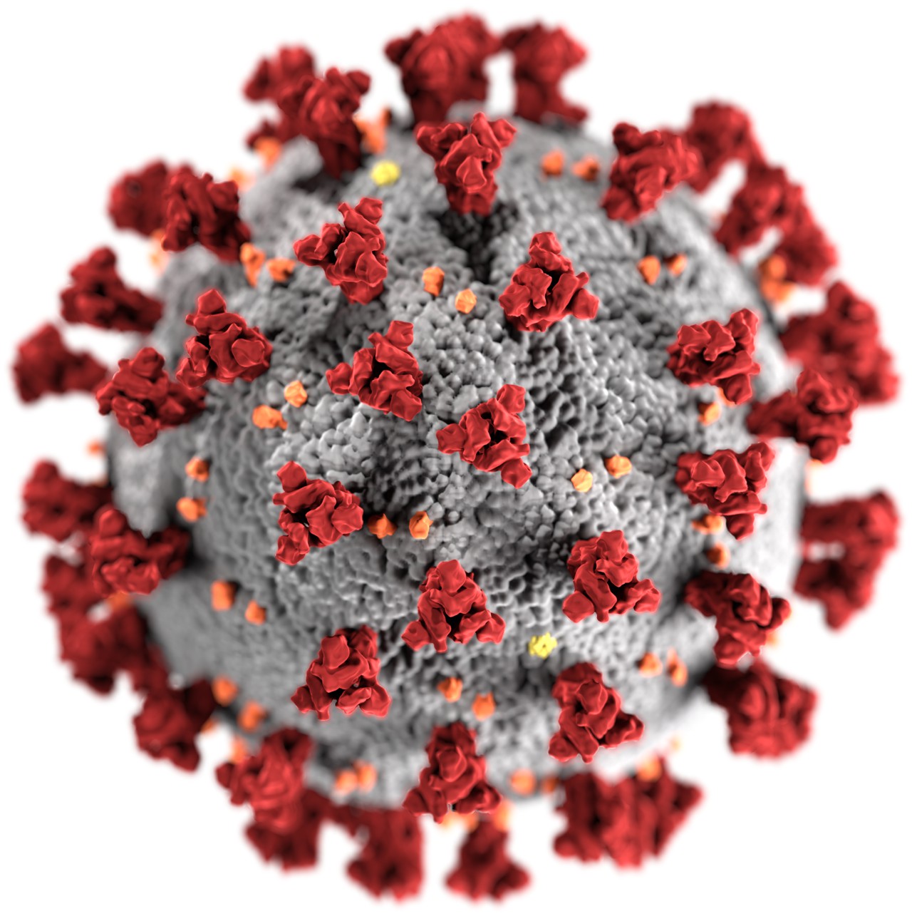 Coronavirus Reinfection Cases