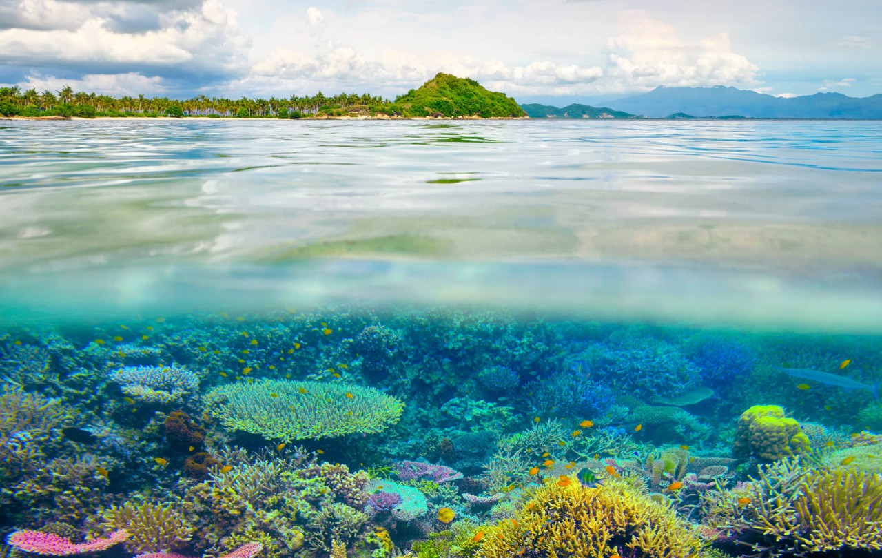 Great Barrier Reef