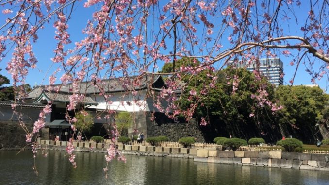 When Will Japan Reopen Borders to International Tourism?