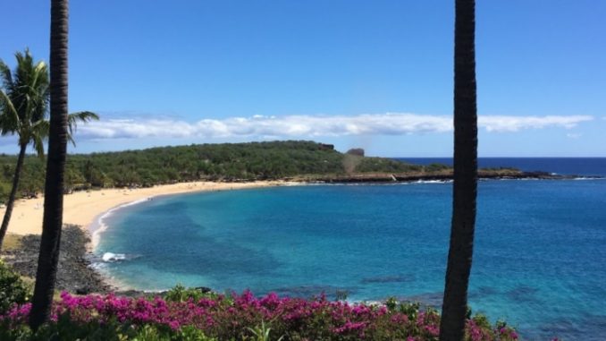 Vault Health COVID-19 Test for Hawaii? Have a Backup Plan