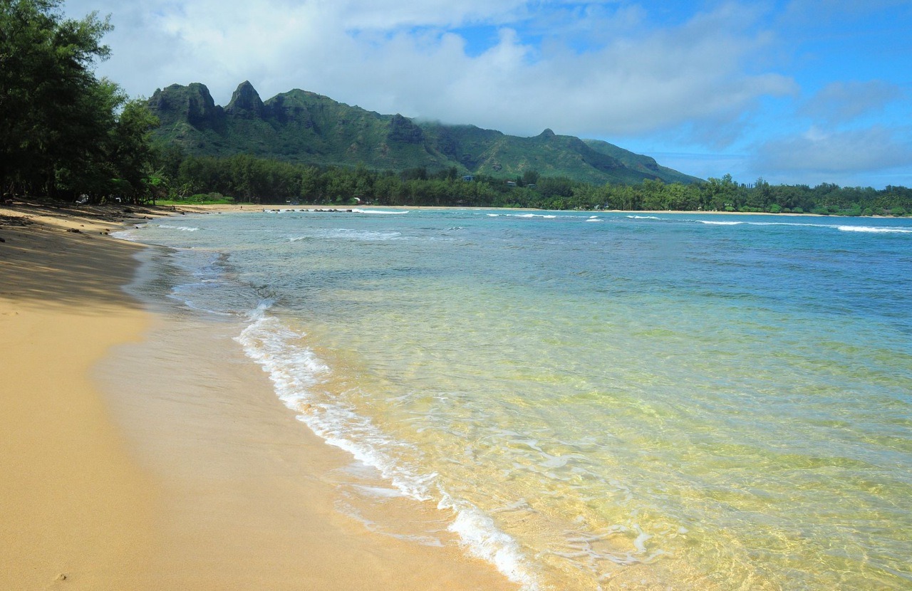Hawaii Interisland COVID-19 Testing to End in April 2021?