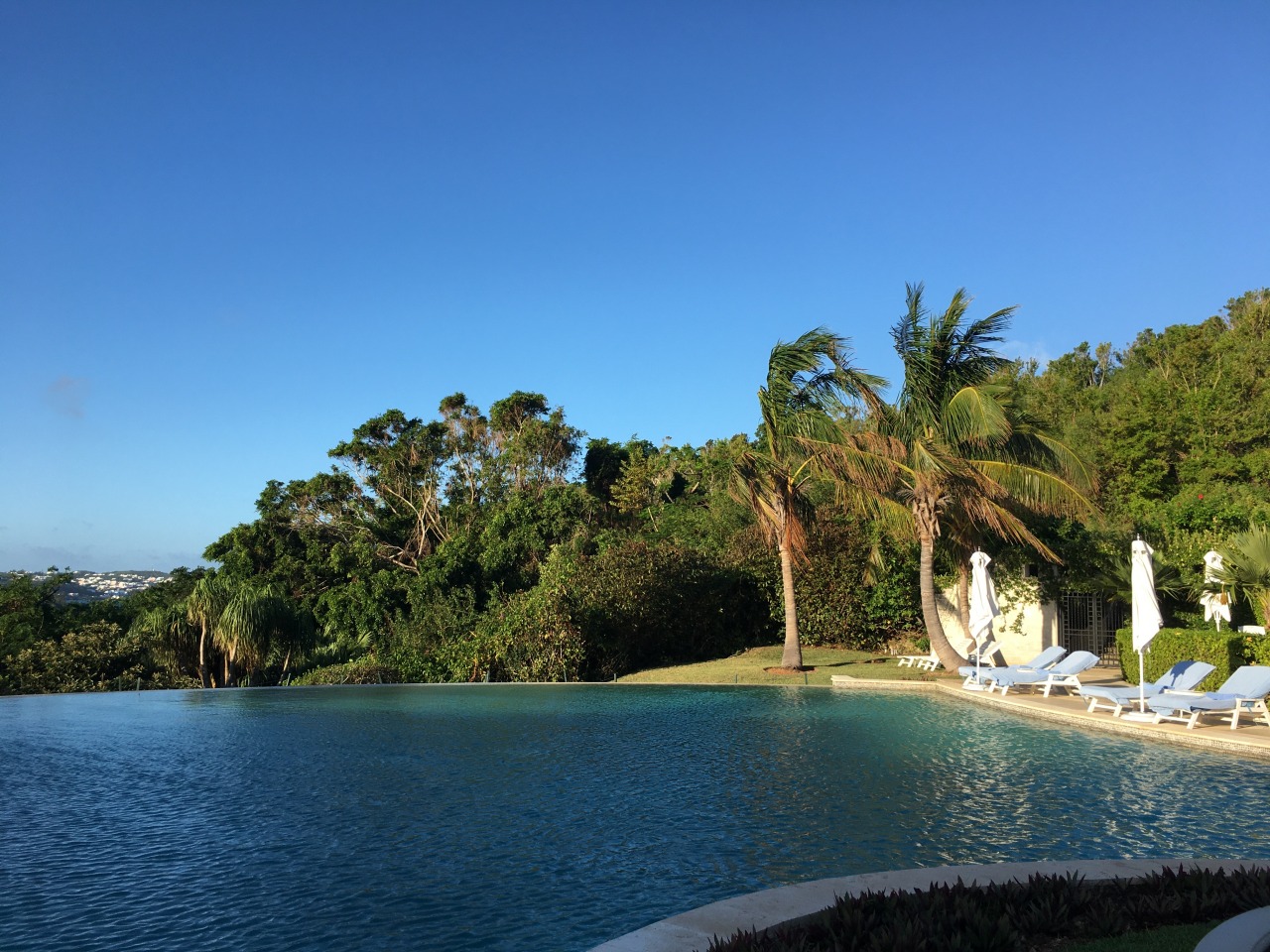 Palm Court Pool, Rosewood Bermuda Review