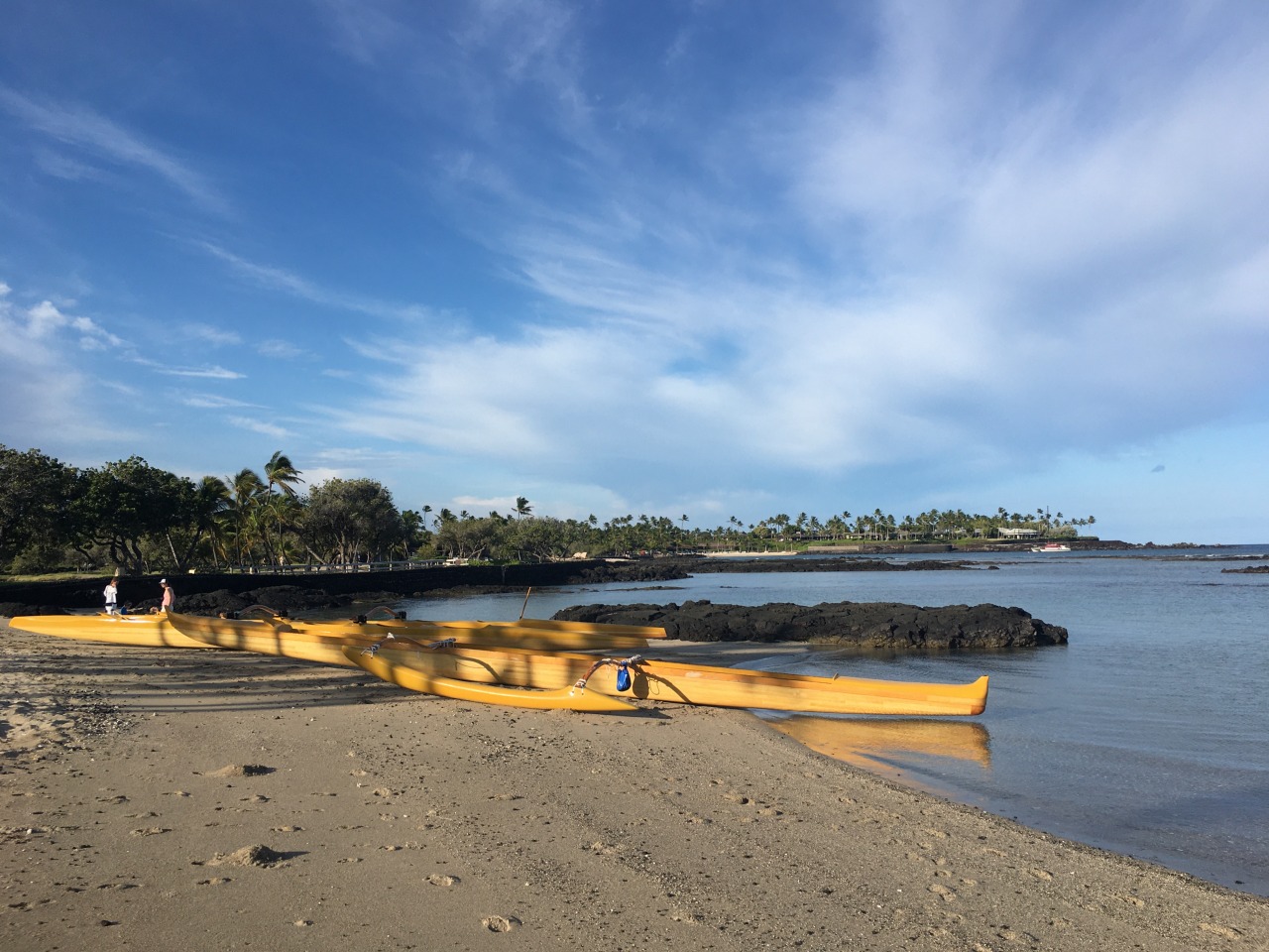 Beach and Canoes