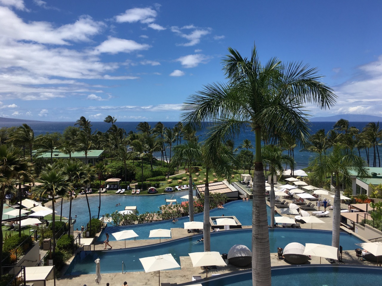 Guess the Tropical Resort: Modern and Chic