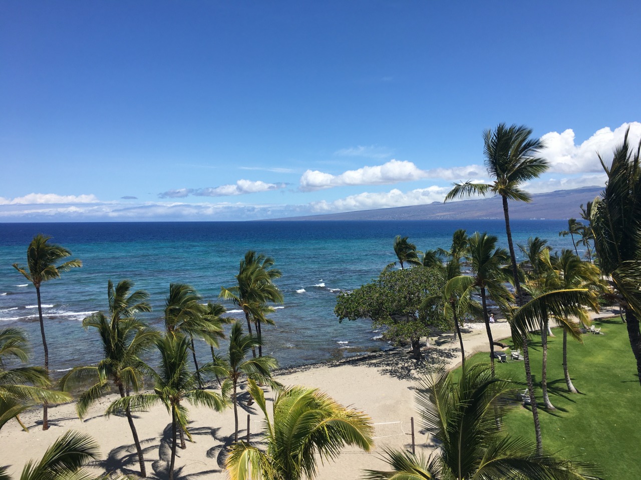 Guess the Tropical Resort