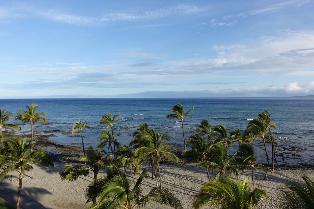 View from Mauna Lani Oceanfront One Bedroom Suite 