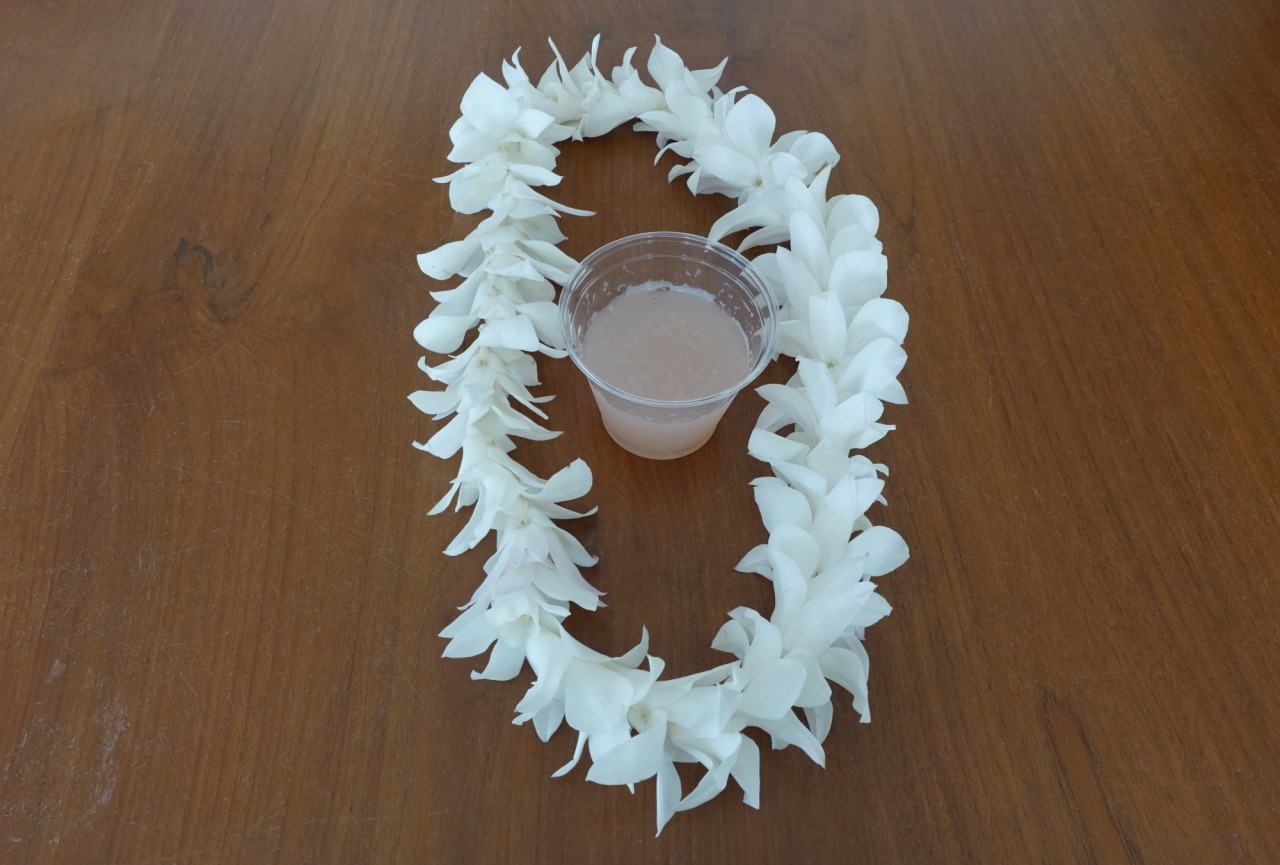 White Orchid Lei and Welcome Drink, Andaz Maui Review