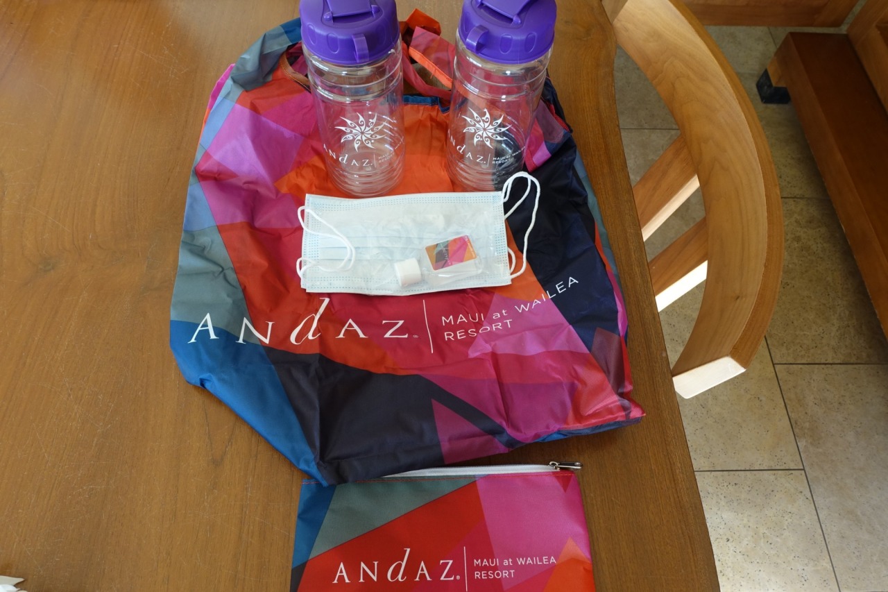 Andaz Maui Bag with Water Bottles, Face Mask, Hand Sanitizer