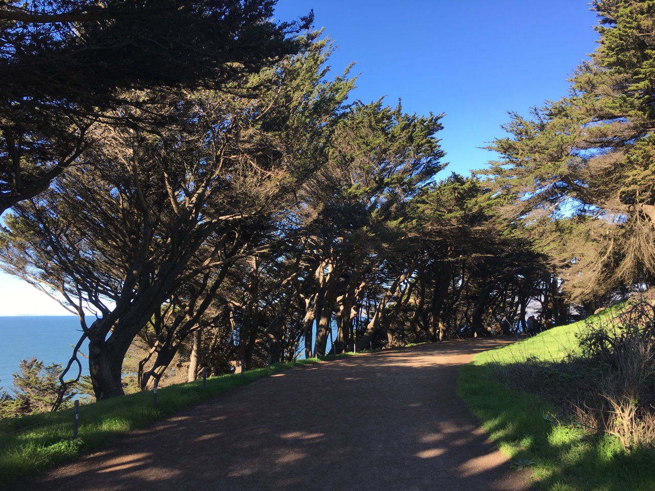 Land's End Trail Photos and Tips, San Francisco