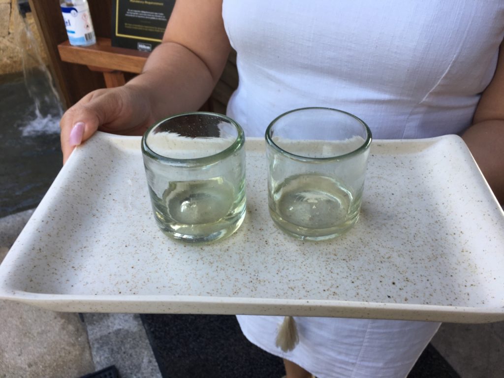 Codex Welcome Ceremony: Herbal Tea