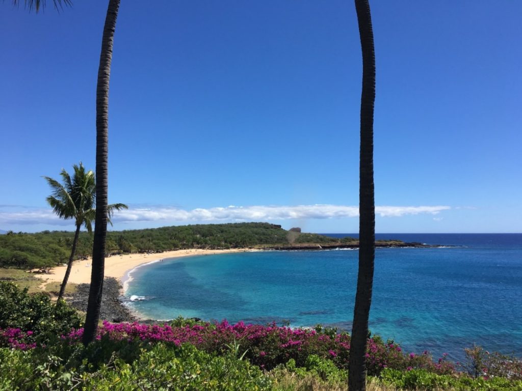 Top Hawaii Luxury Hotel Offers 2022