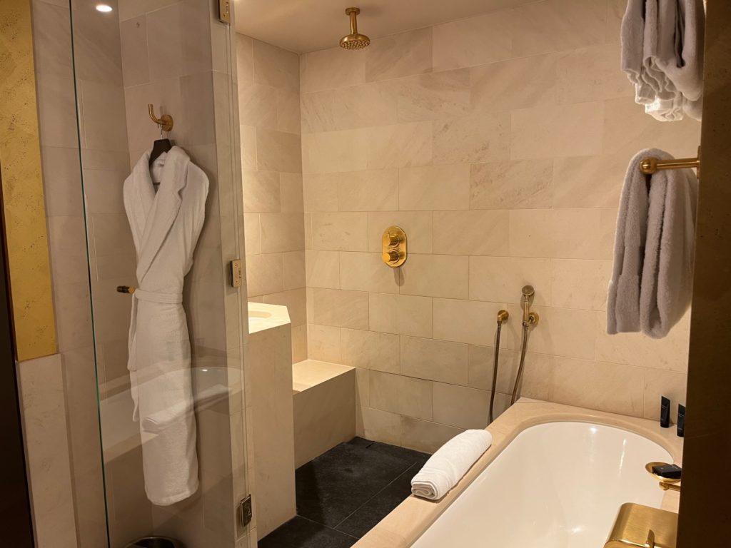 Bathtub and Shower, Deluxe King Room, Park Hyatt Paris
