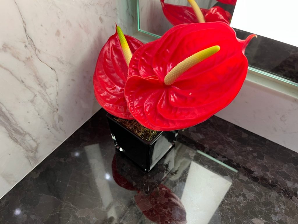 Red anthurium in the bathroom, Four Seasons Madrid